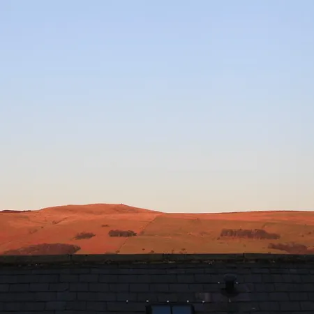 Bed & Breakfast Horse Market